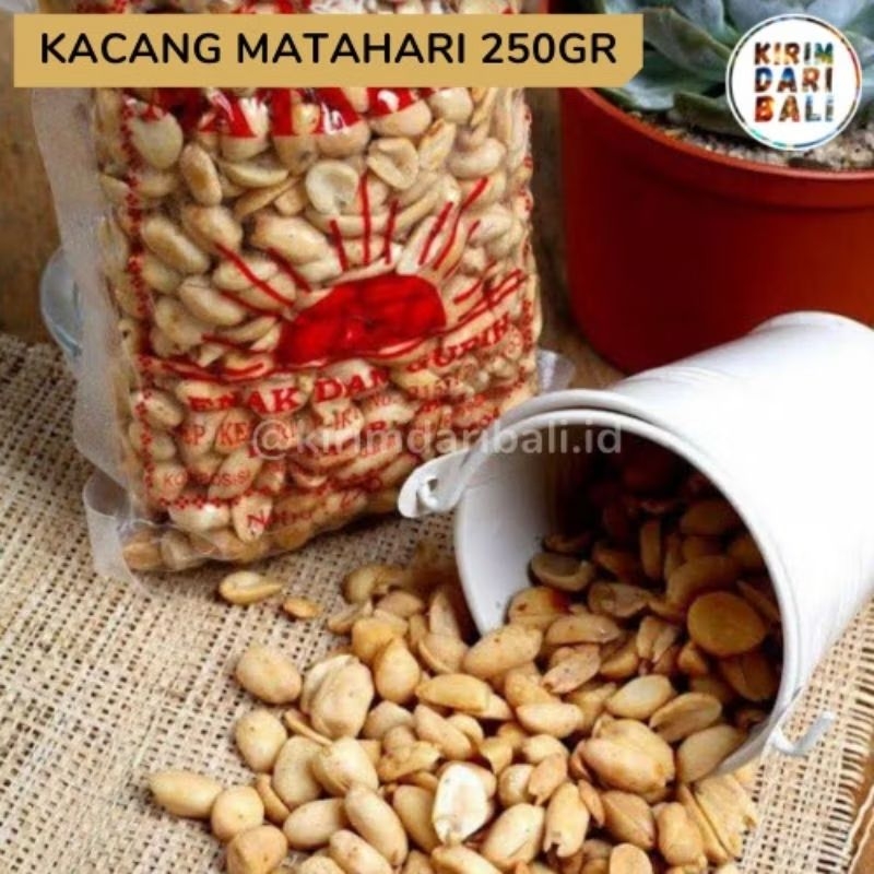 

KACANG MATAHARI BAWANG PUTIH 250GR-OLEH OLEH CAMILAN KHAS BALI ASLI