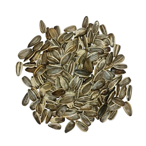 

Kuaci Impor Mentah Ukuran Jumbo (EXTRA LARGE) 500 gram Repack