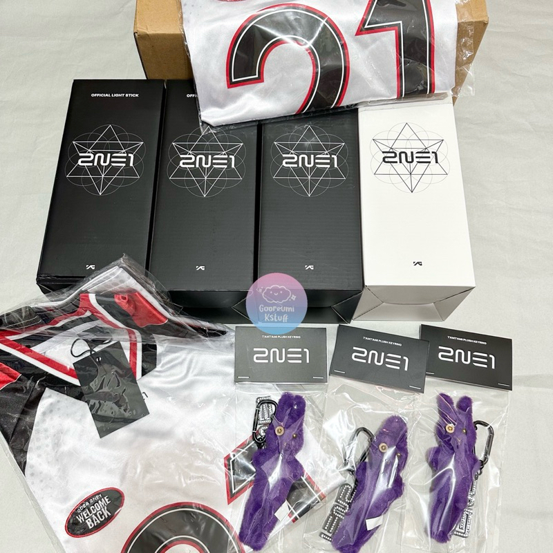 2NE1 WELCOMEBACK 2024 Concert OFFICIAL MERCH PO [PO DP]