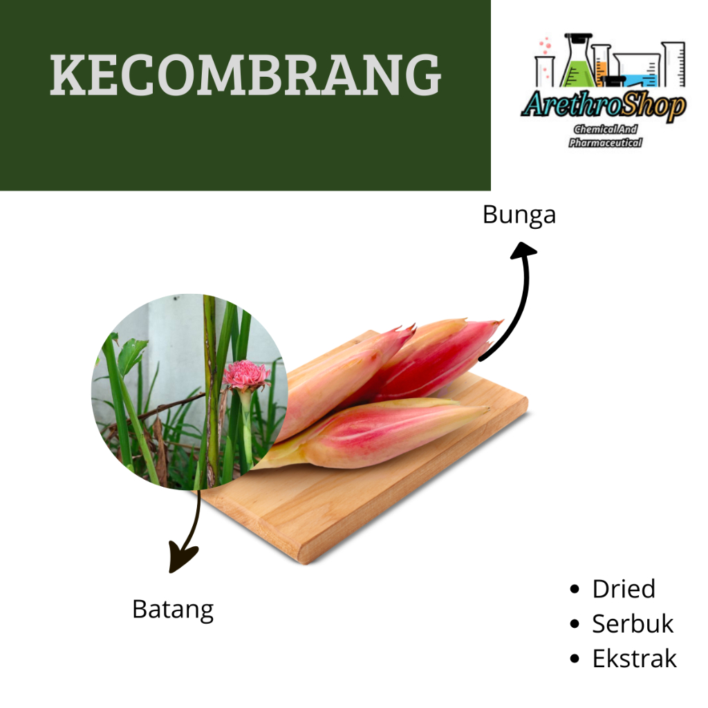

SERBUK DAN DRIED KECOMBRANG BEST PRODUCT