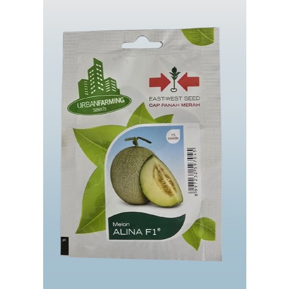 Benih Melon Hibrida ALINA F1