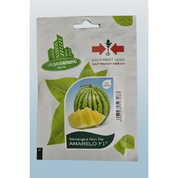 Benih Semangka Kuning Non Biji Hibrida AMARELO F1