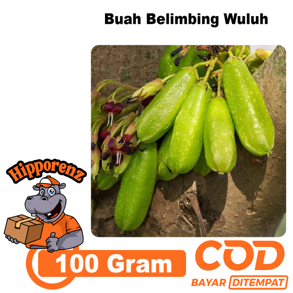 

Buah Belimbing Wuluh Segar 100 Gram Siap Di Kirim
