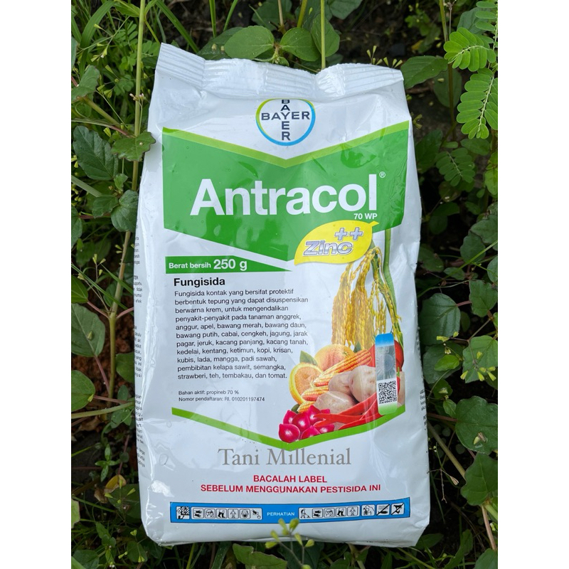 Antracol Fungisida 250 gram