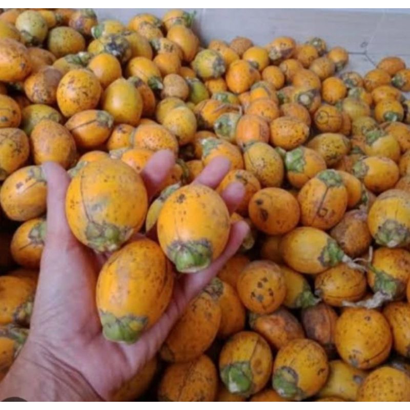 

BUAH PINANG TUA 1KG
