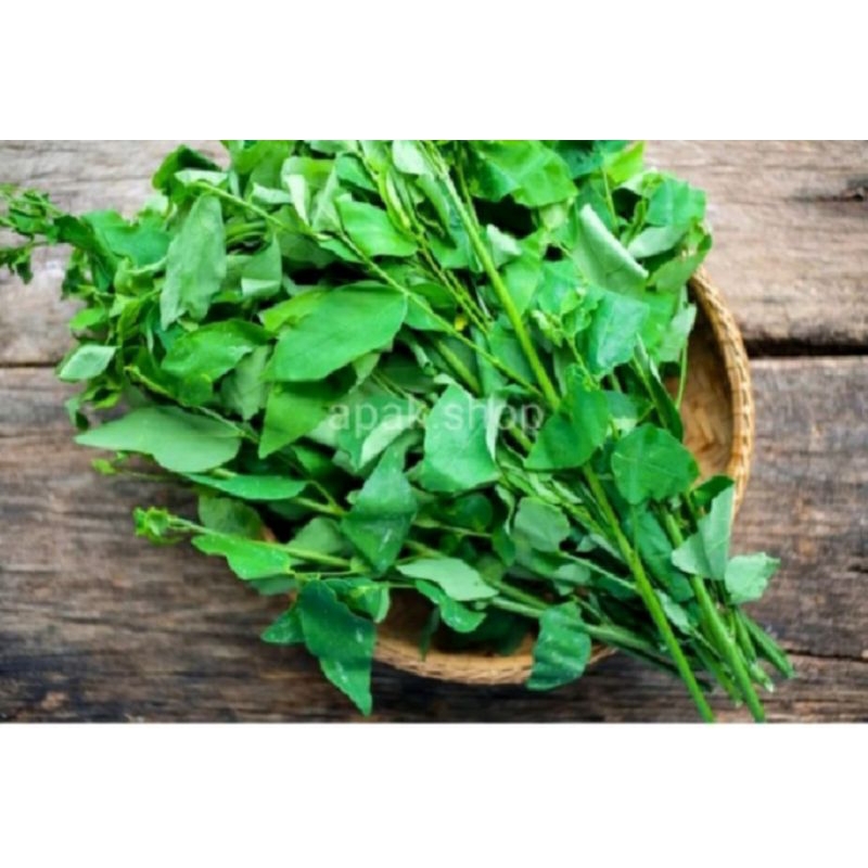 

Sayur Daun Katuk 1 ikat