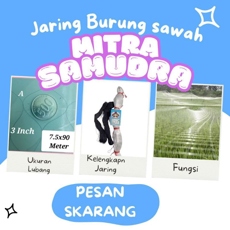 jaring burung padi sawah  3 inch jaring burung pipit dan emprit jaring penutup sawah jaring pengaman
