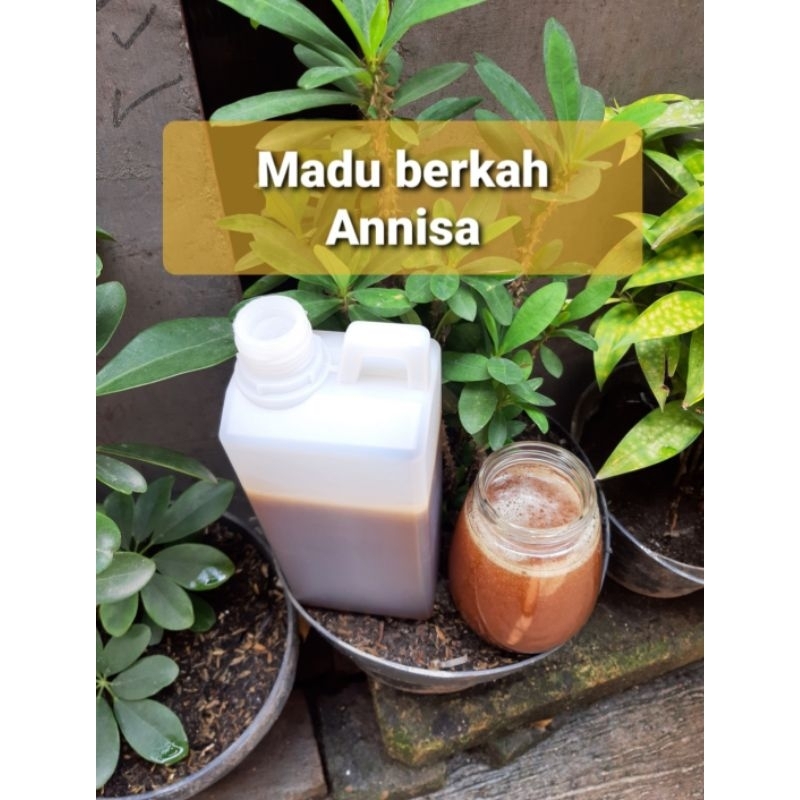 

madu murni sialang kampar 1 kg