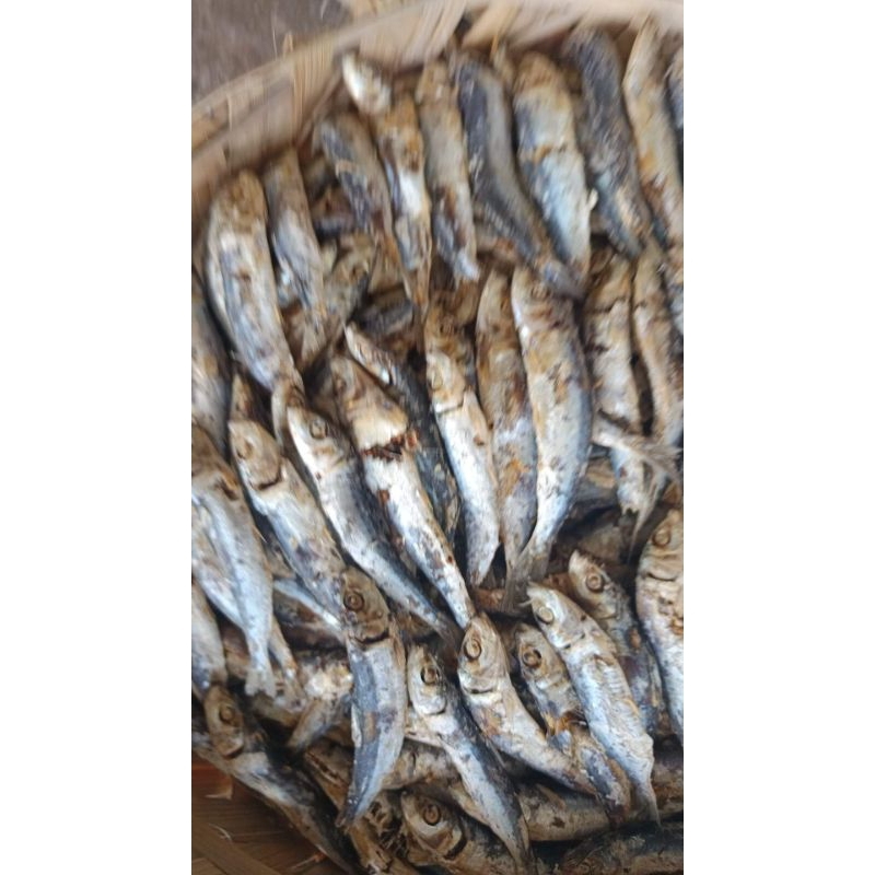 

Ikan asin Medan / ikan dencis