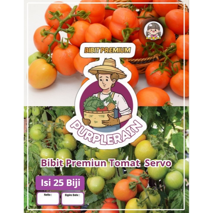 Bibit Premium Tomat Servo Hibrida|Benih Tomat Servo F1|Tomat Servo