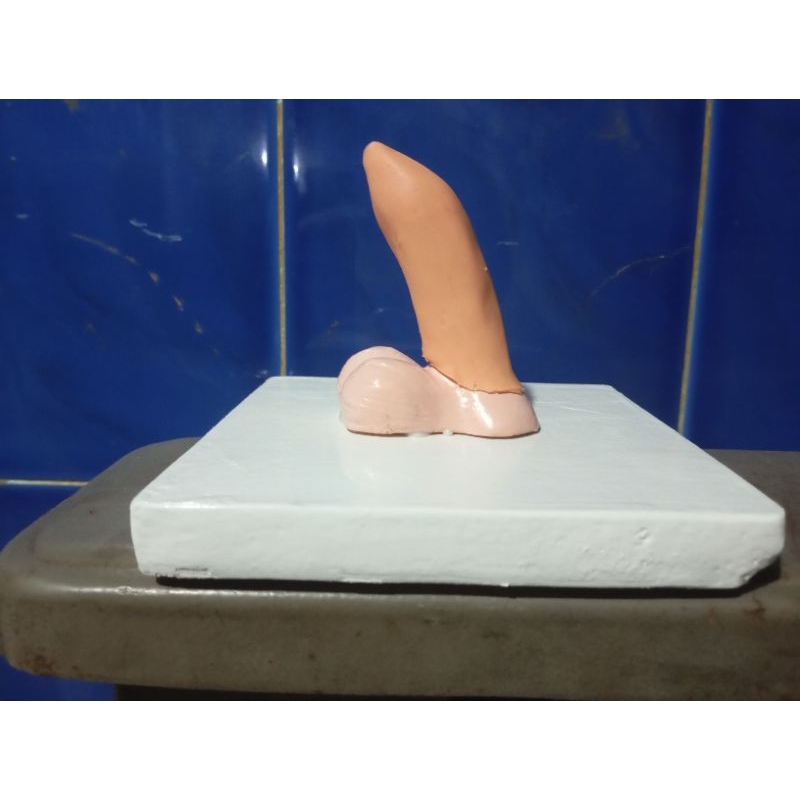 

Sirkumsisi Sunat anak /khitan / alat peraga pendidikan