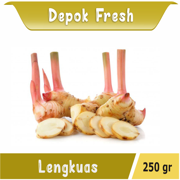 

LENGKUAS SEGAR BUMBU DAPUR BERKUALITAS
