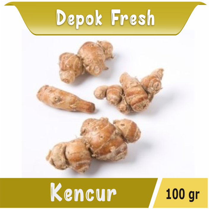 

KENCUR SEGAR BUMBU DAPUR BERKUALITAS