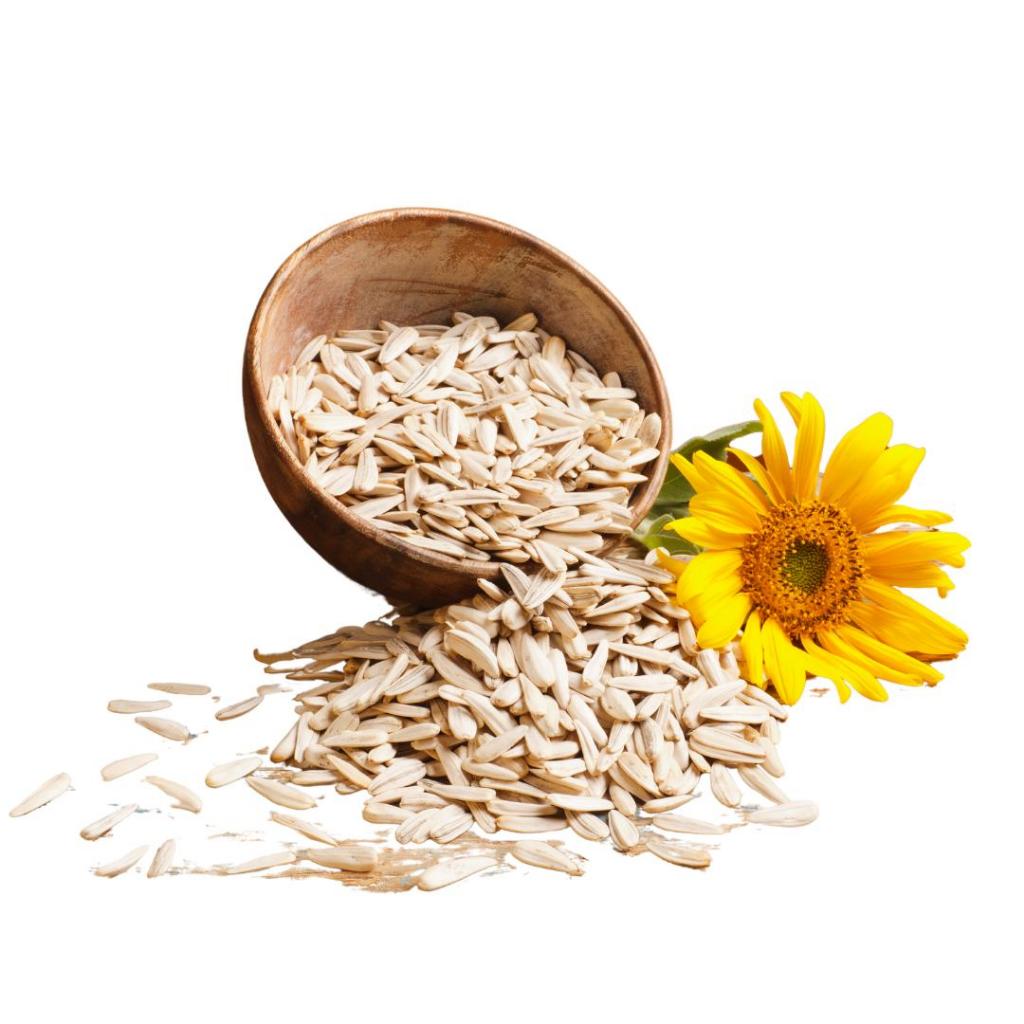 

Sunflower Seed 1 Kg Kuaci Biji Bunga Matahari Raw Organik Kupas Tanpa Kulit Topping Campuran