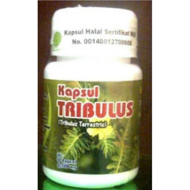 Kapsul tribulus sebagai libidan dan pengut otot pria
