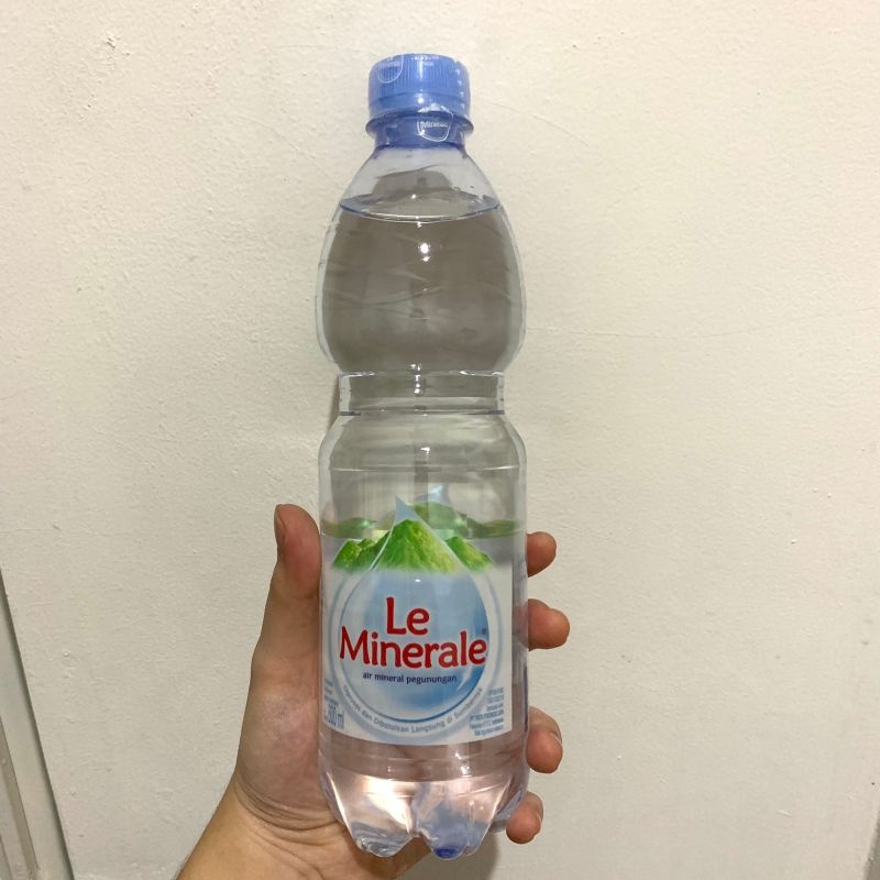 

LE MINERAL 600 ML PERDUS ISI 24