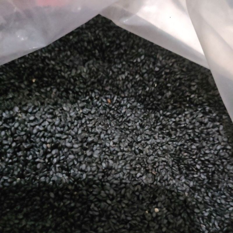 

Biji selasih kemasan 1kg