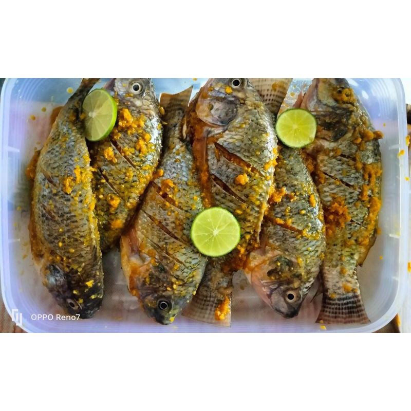 

Ikan nila prozzen bumbu kuning 500 gr rp 28 000