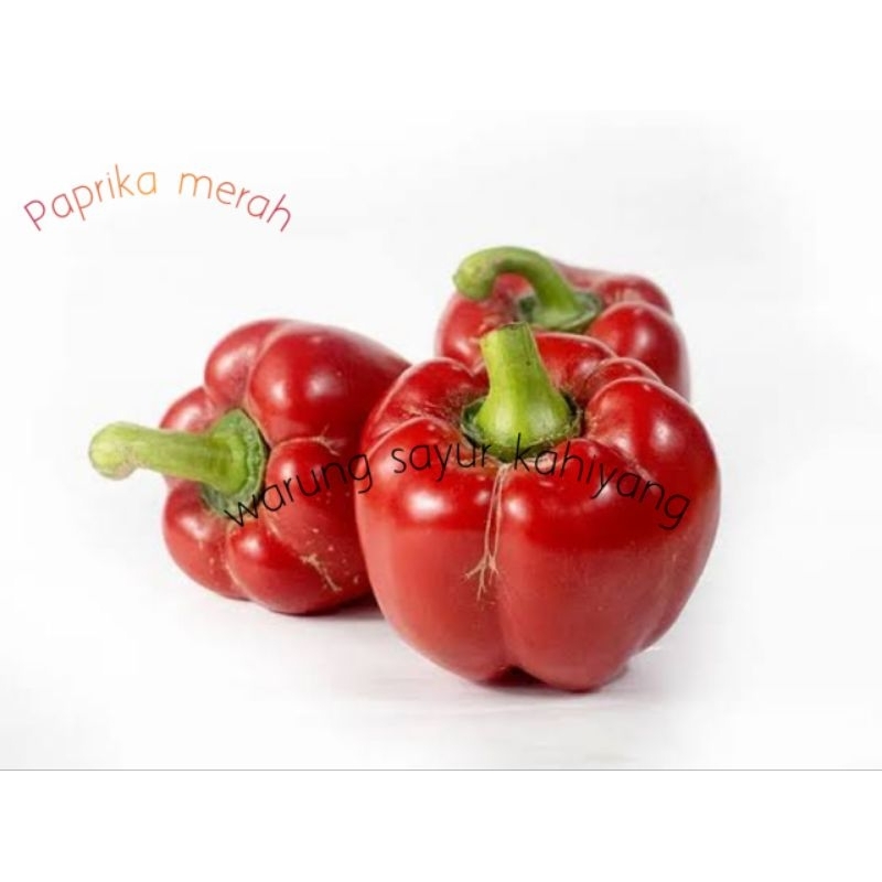 

Paprika Merah Fress 1kg