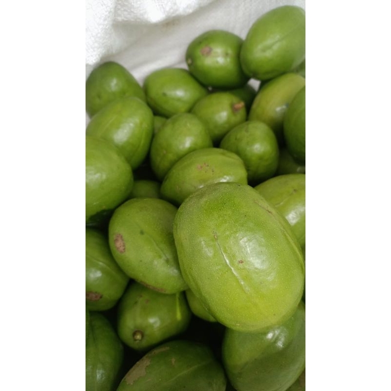 

buah kedondong jumbo segar