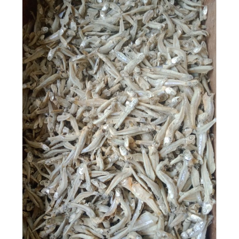 

Ikan teri asin