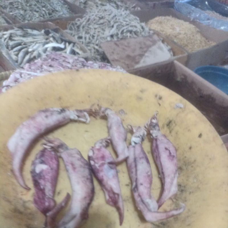 

cumisotong