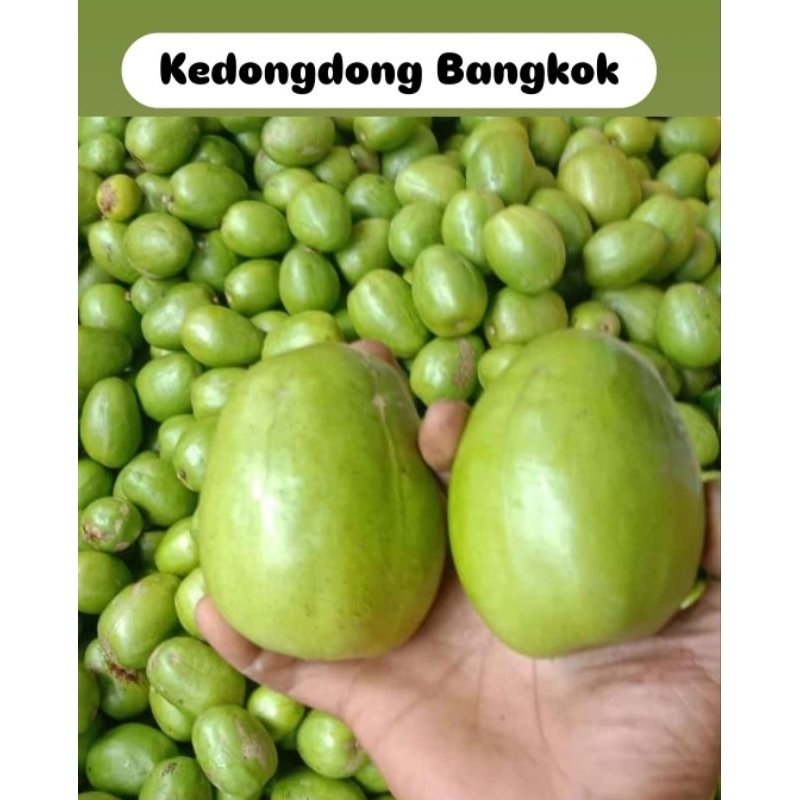 

Kedongdong Bangkok Hijau besar