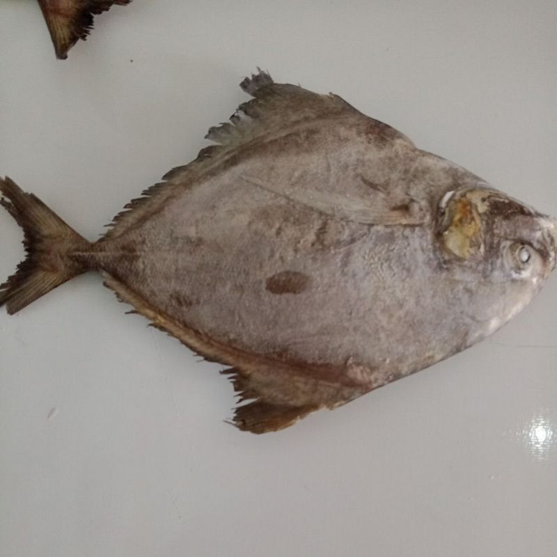 

ikan bawal hitam 1kg isi 4