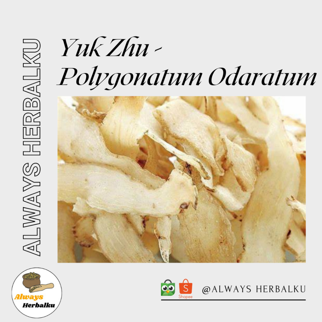 

Yuk zhu / Nyuk cuk / Yuk cuk / Polygonati odorati (500 gram)