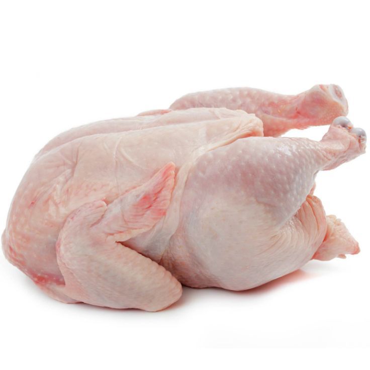 

ayam broiler frozen 1,4kg up/ayam frozen berat hidup kurleb 2kg an/ayam potong/ayam broiler