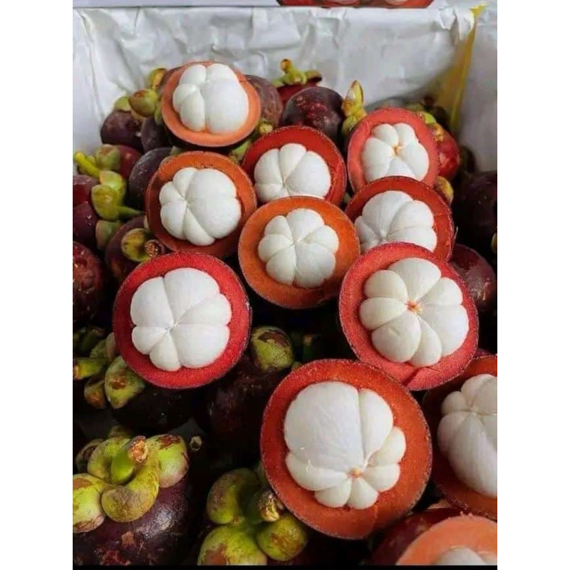 

Buah Manggis