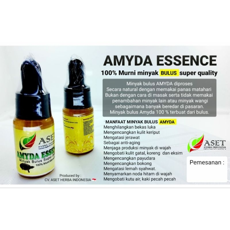 Minyak Bulus Amyda Essence 100% murni
