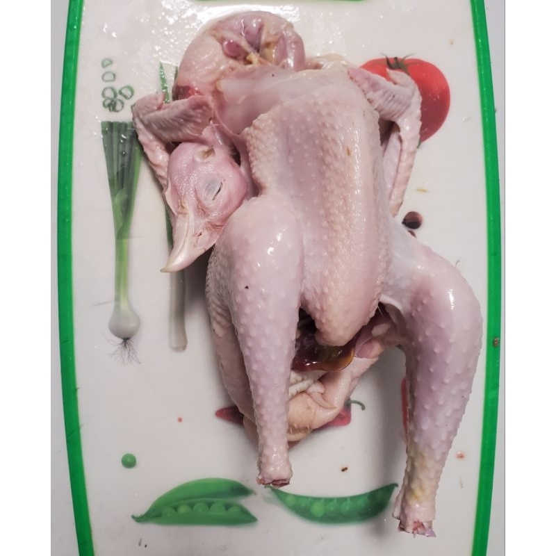 Ayam Kampung Potong