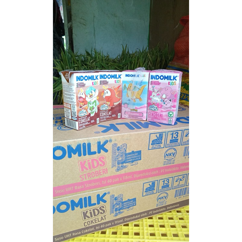 

SUSU indomilk kids per karton
