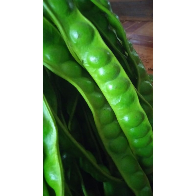 

Pette Super 1 iket isi 10 lonjor