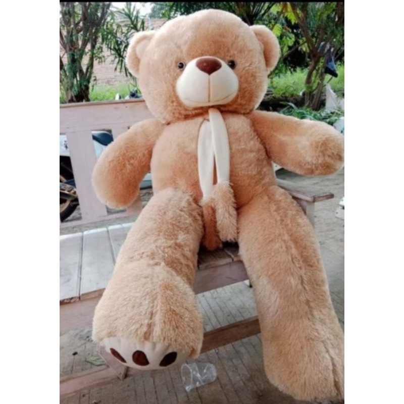 Boneka Tedy Bear Jumbo Syal Telapak 1,2 meter Berlabel SNI