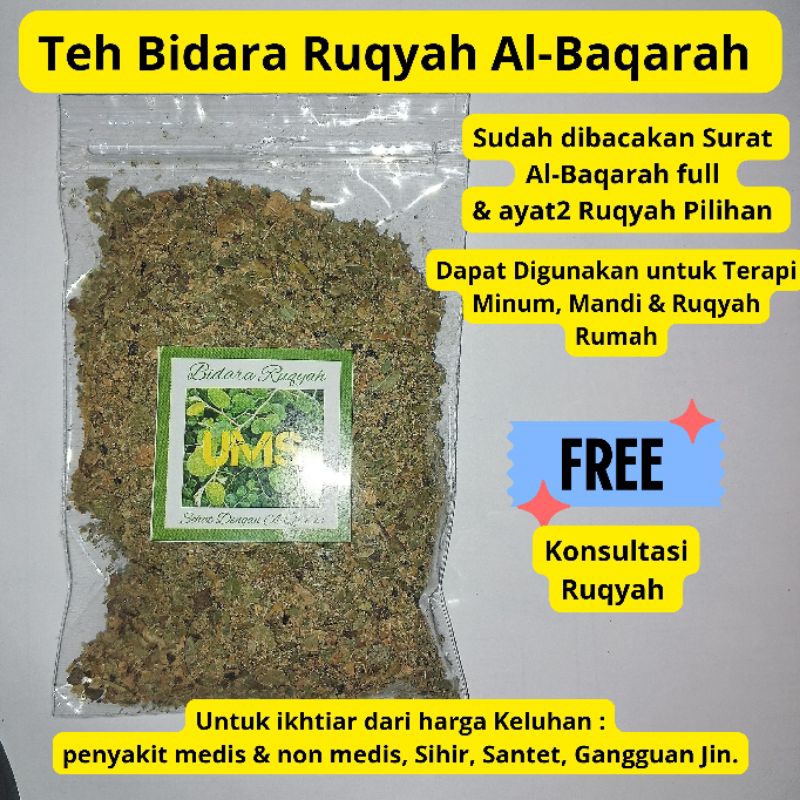 

TEH BIDARA RUQYAH TEH BIDARA ARAB TEH DAUN BIDARA