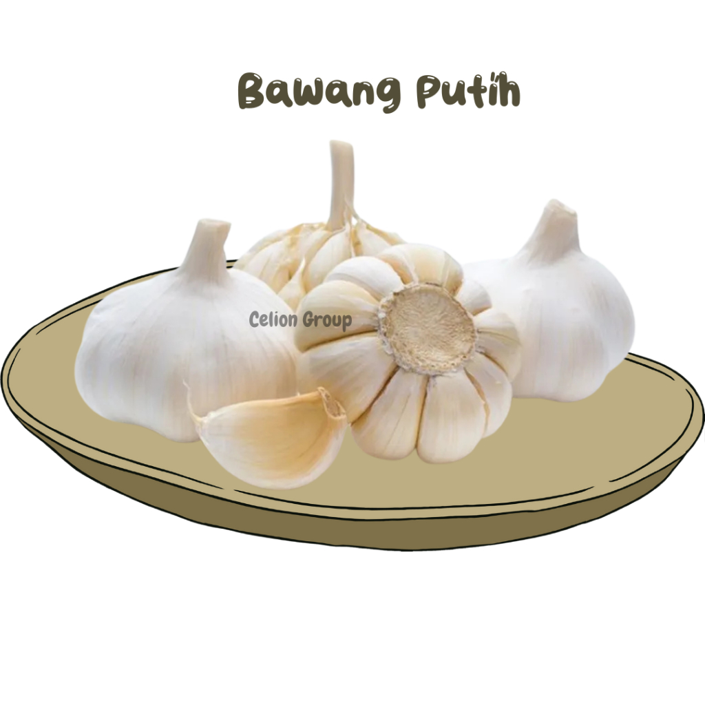 

Bawang Putih 1kg Bawang Murah Bawang Premium