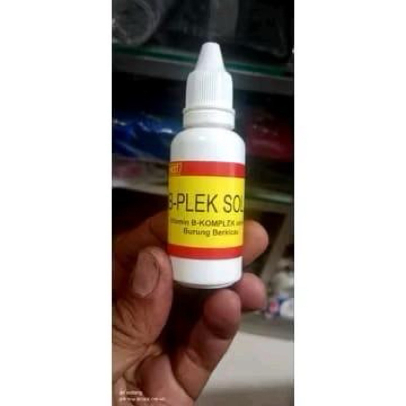B-PLEK SOL Solusi Vitamin B Kompleks untuk Burung Berkicau