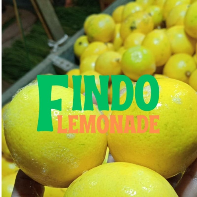 

Jeruk Lemon Segar Fresh Jumbo 1kg