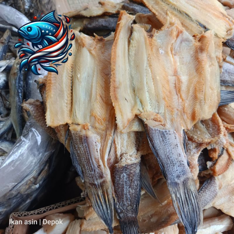 

Ikan gabus sedang | ikan gabus asin