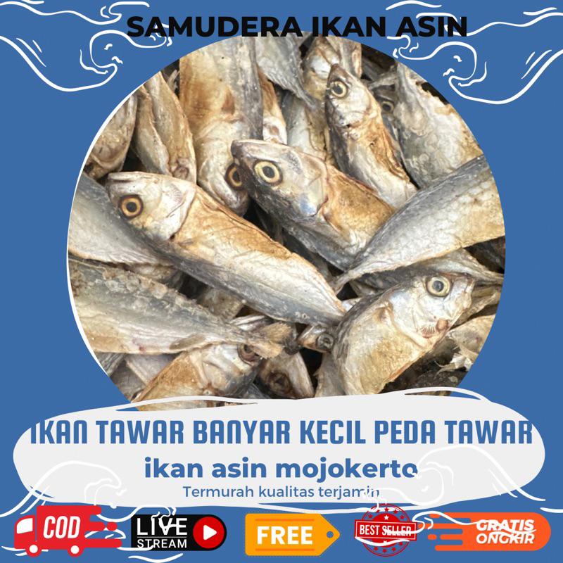 

250gr banyar kecil tawar murah kering sedikit asin
