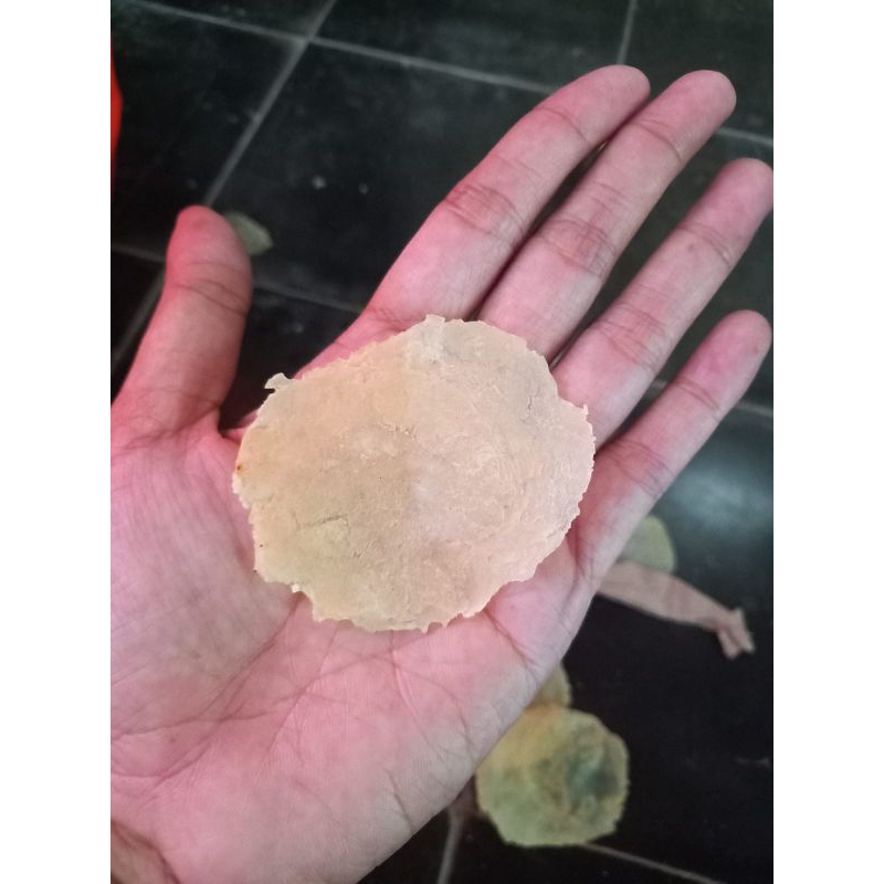 

EMPING MELINJO MENTAH UKURAN SEDANG KEMASAN 1KG SUDAH SORTIR SUDAH KERING SIAP GORENG