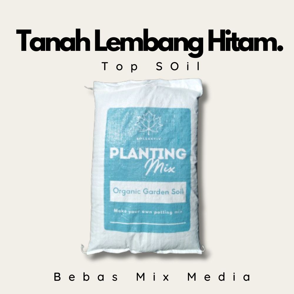 Tanah Lembang Hitam / Top Soil