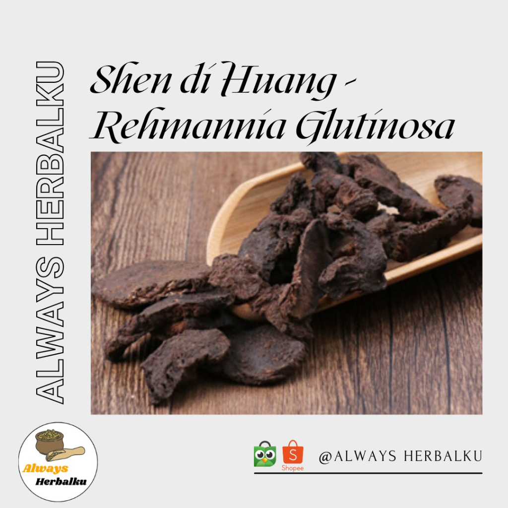 

shen di / shen di huang / sheng di huang / rehmannia glutinosa (50gr)