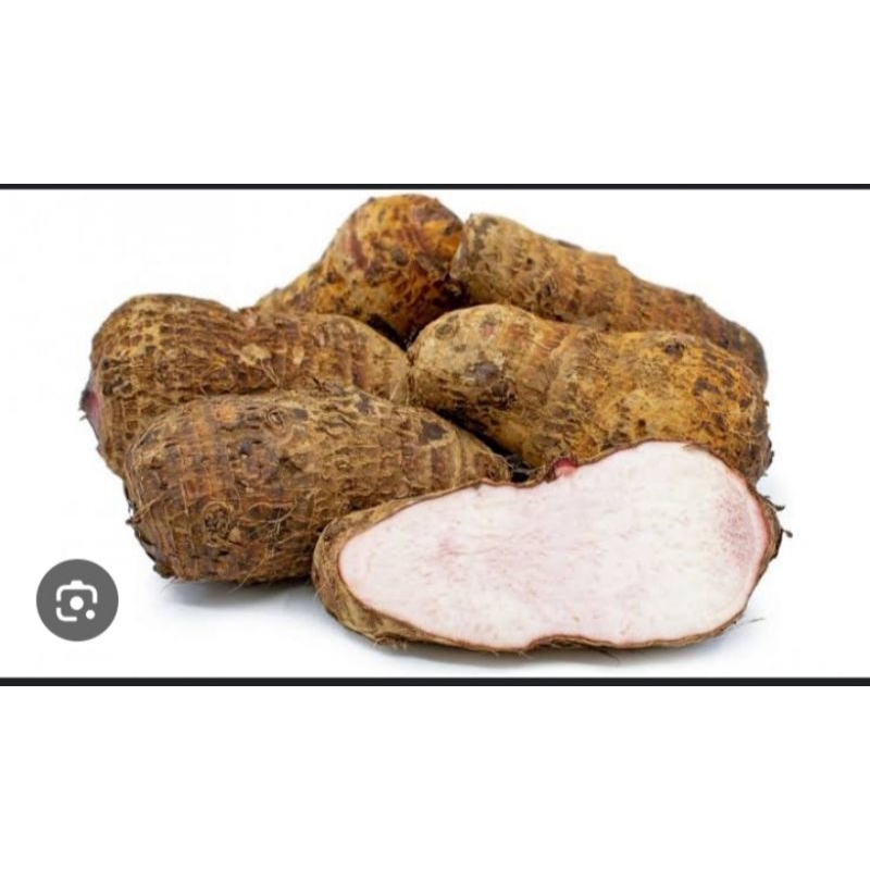 

1 kg talas super/talas pulen/umbii talas