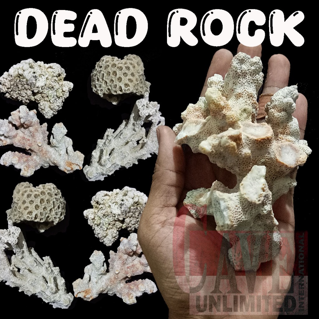 Dead rock batu karang setting air laut batu karang DR scaping aquarium akuarium murah caveunlimited