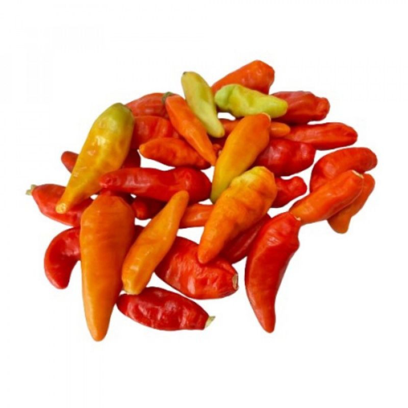 

Cabe Rawit Petik / Cabe Tiung Petik