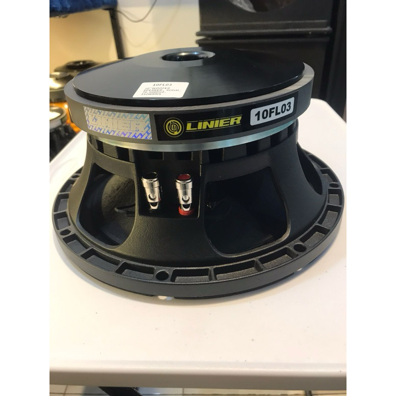 Speaker Linear linier 10 inch 10FL03 original