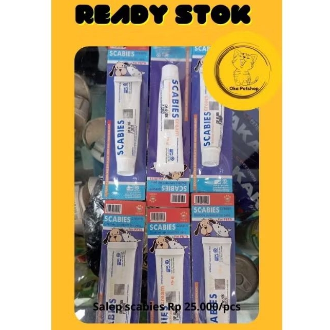 salep scabies kucing